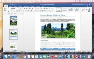 Hogar y negocio 2016 de Microsoft Office para la instalación auténtica de la licencia del mac en página web del ms