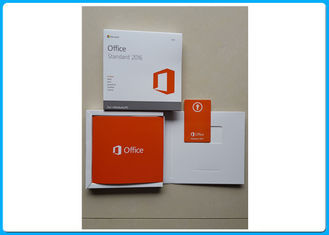 Programa normalizado de Microsoft Office 2016 llenos de la versión, productos avanzados de las multimedias en la acción