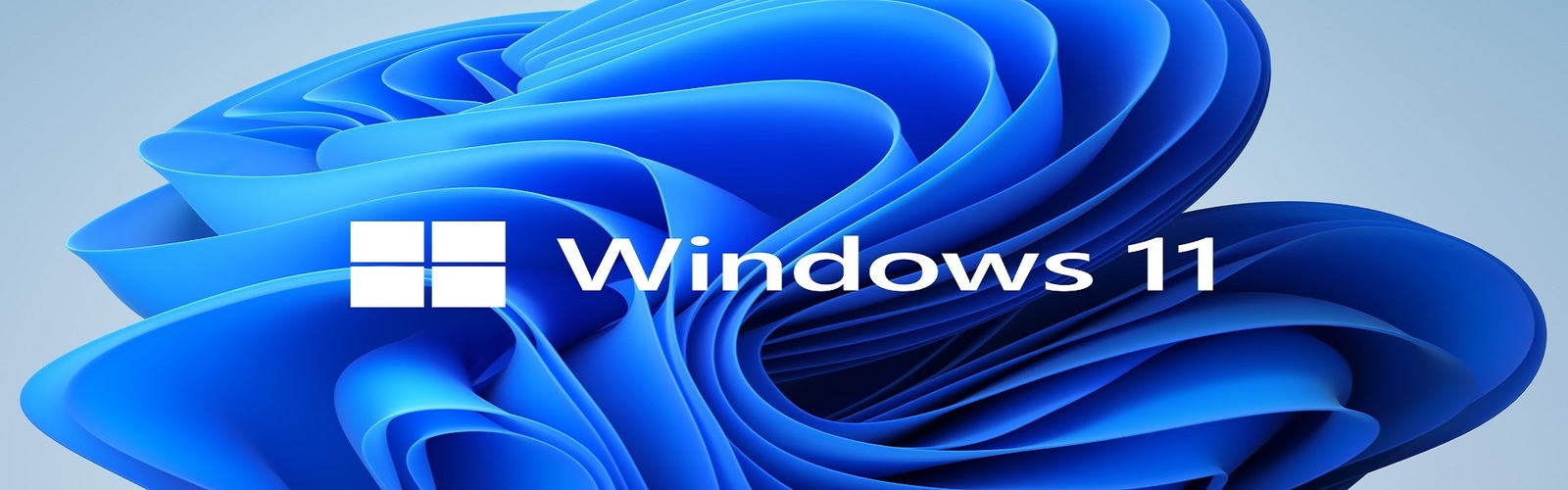 softwares del Microsoft Windows